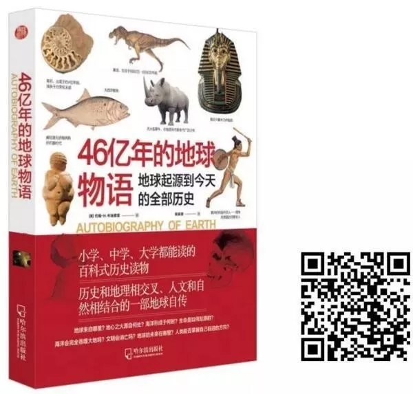 5.webp.jpg